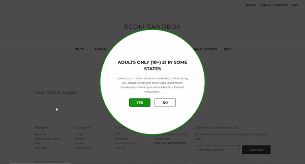 BigCommerce Age Verification Popup